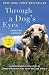 Through a Dog's Eyes
