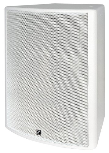 Yorkville C2560 Speaker Coliseum Series 2 Way Passive 300 Watts 15 Inch 8 Ohm