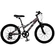 Pacific Outdoor Wilderness Series Trail Tamer Mountain Bike (20-Inch Wheels)