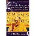 A Flash of Lightning in the Dark of Night (A Guide to the Bodhisattva's Way of Life) (Shambhala Dragon Editions) (Paperback)