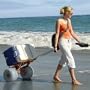 Folding Beach Cart by Wheeleez