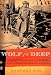 Search : Wolf of the Deep: Raphael Semmes and the Notorious Confederate Raider CSS Alabama