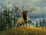 TUFTOP Cutting Board TT92091 Elk - Small (9' 'x12' ')