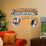 Tennessee Volunteers Multi-Logo Wallcrasher