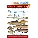 Ken Schultz's Field Guide to Freshwater Fish