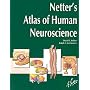 Netter's Atlas of Human Neuroscience (Netter Basic Science)
