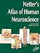 Book Netter's Atlas of Human Neuroscience (Netter Basic Science)