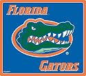 Wow!Pad 78WC010 Florida Collegiate Logo Desktop Mouse Pad