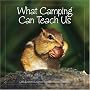 What Camping Can Teach Us: Life's Lessons Learned From The Great Outdoors