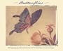 Butterflies Notecards