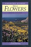 Wild flowers of Britain and Europe