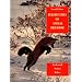 Perspectives on Animal Behavior
