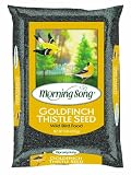 Morning Song Goldfinch Thistle, 20-Pound