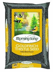 Morning Song Goldfinch Thistle, 20-Pound