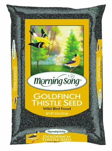 Morning Song 1015146 Goldfinch Thistle Wild Bird Food, 10-Pound