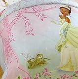 Disney Tiana The Princess and the Frog Twin Size Comforter