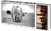 Burning Man: Art in the Desert