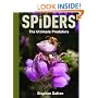 Spiders: The Ultimate Predators