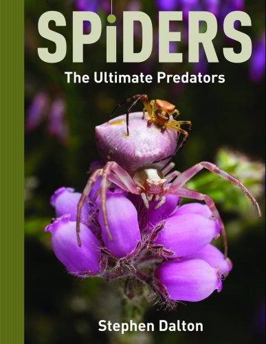 Spiders: The Ultimate Predators: Amazon.ca: Stephen Dalton: Books