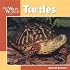 Turtles (Our Wild World)