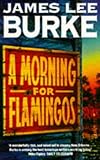 A morning for flamingoes