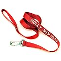 6-foot Nylon Pet Leash with Customized Personalized Embroidery