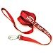 6-foot Nylon Pet Leash with Customized Personalized Embroidery