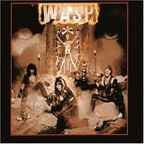 Wasp