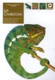 Les cam�l�ons