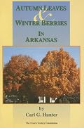 Autumn, Leaves & Winter Berries in Arkansas