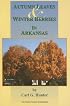 Autumn, Leaves & Winter Berries in Arkansas