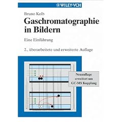 Gaschromatographie in Bildern. Eine Einführung: Eine Einfuhrung (Taschenbuch)