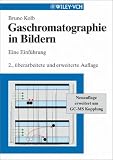 Gaschromatographie in Bildern: Eine Einführung