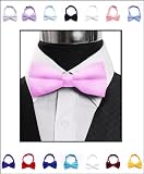 Solid Banded Bowtie