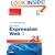 Sams Teach Yourself Microsoft Expression Web 3 in 24 Hours
