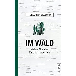 Im Wald: Kleine Fluchten für das ganze Jahr