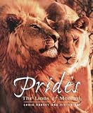 Review Southern Book Publishers  / Prides: The Lions of Moremi