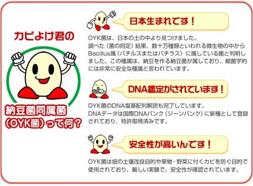 Cover image : バイオでカビよけ君 67900