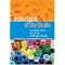 Emergent Curriculum/Reggio Emilia Books