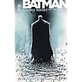 Batman : sombre reflet, tome 1