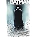 Batman : sombre reflet, tome 1