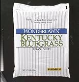 Kentucky Bluegrass Seed (KBGB2ACE00) 12 each