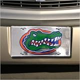 Florida Gators Silver Metal License Plate