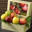 Mixed Apple Medley 4 lb Fruit Gift Box