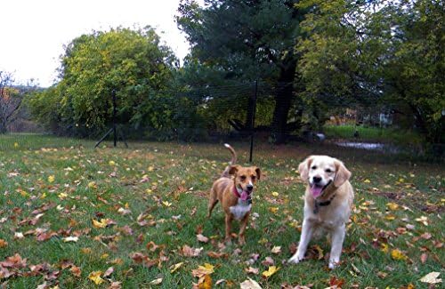 Non-Electric Dog, Pet &amp; Animal Fence Containment System | Complete DIY Professional Grade Installation Kit | 5' High Small Dog Fence Kit (250' Kit)