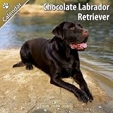 \"CHOCOLATE