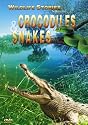 Wildlife Stories - The Whole Story: Crocodiles & Snakes