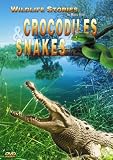 Wildlife Stories - The Whole Story: Crocodiles & Snakes