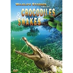 Wildlife Stories Crocodiles An