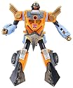 TRANSFORMERS ENERGON LANDMINE
